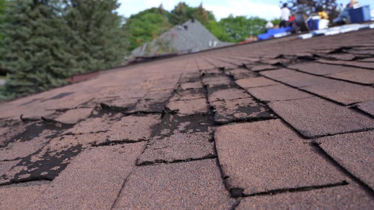 Reliable Sterling, AK Roofing Services Solutions