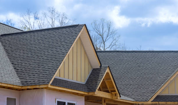 Best Sheet Metal Roofing  in Sterling, AK