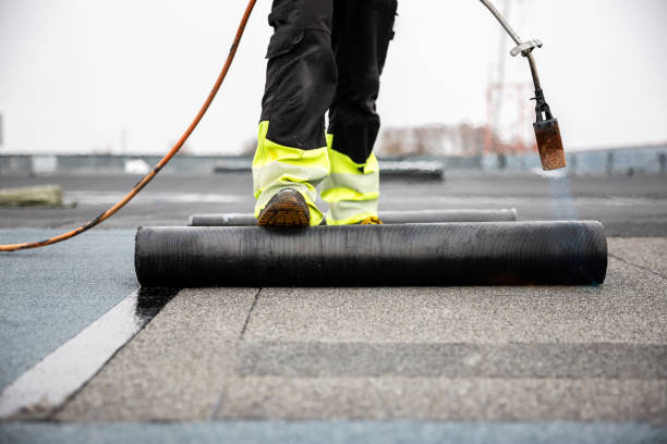 Best Skylight Installation and Repair  in Sterling, AK
