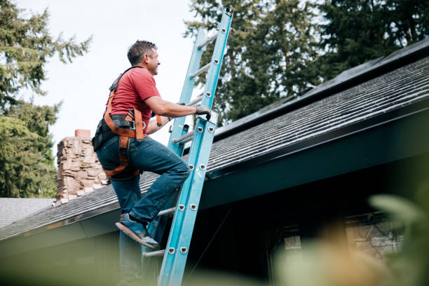 Best Chimney Flashing Repair  in Sterling, AK